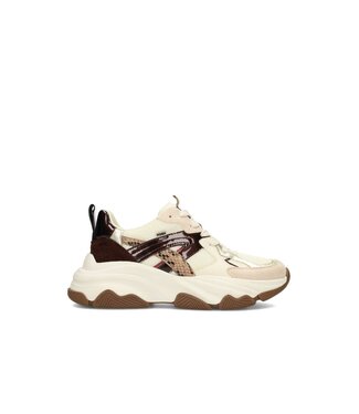 POELMAN Poelman Sneakers (580.41.084)