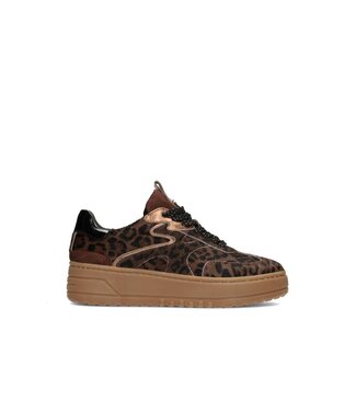 POELMAN Poelman Sneakers (580.59.011)
