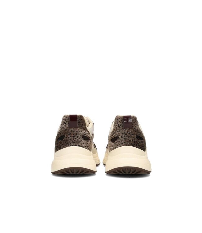 POELMAN SNEAKERS (BRUIN COMBI)