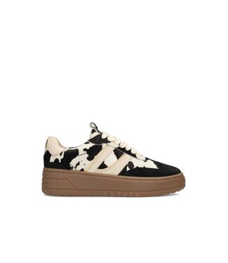 POELMAN Poelman Sneakers (580.19.088)