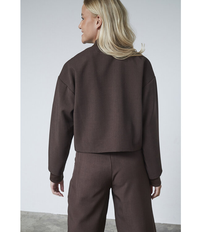 SISTERSPOINT JACK (DONKERBRUIN)