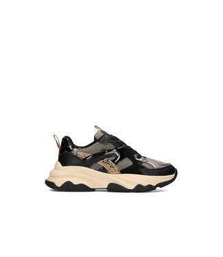 POELMAN Poelman Sneakers (580.19.092)