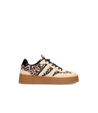 POELMAN Poelman Sneakers (580.41.091)