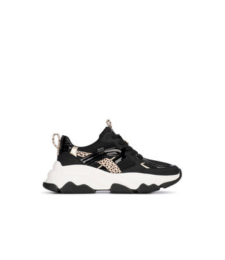 POELMAN Poelman Sneakers (580.19.091)