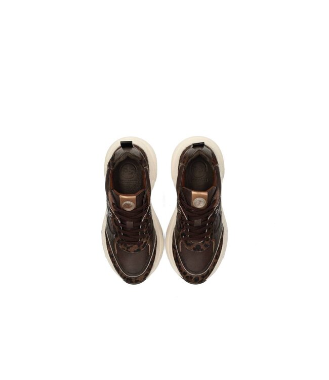 POELMAN SNEAKERS (BRUIN COMBI)