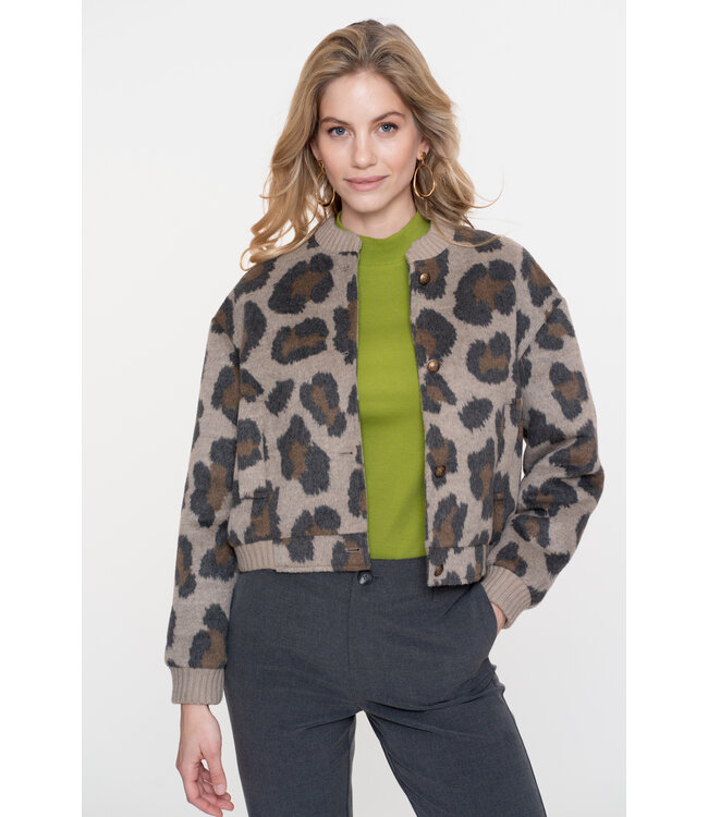 GEISHA JACK (GRIJS COMBI)