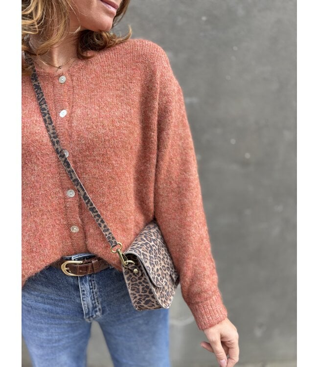 MITCH VESTEN (TERRA)