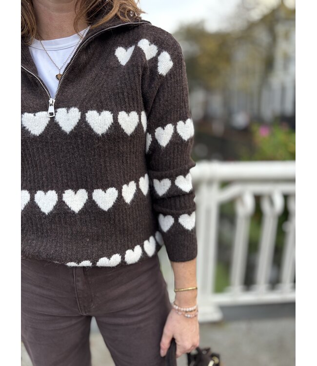 MITCH TRUI (DONKERBRUIN)