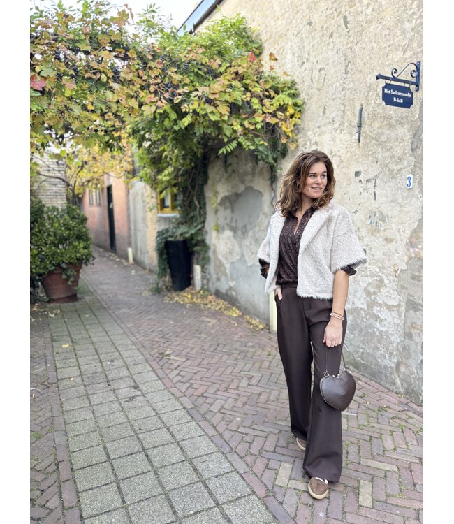 MITCH TASSEN (DONKERBRUIN)