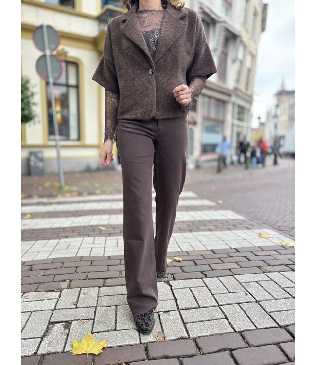 MITCH JACK (DONKERBRUIN)