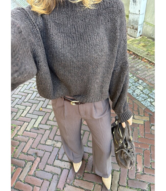 MITCH TRUI (DONKERBRUIN)