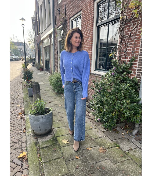 MITCH VESTEN (BLAUW)