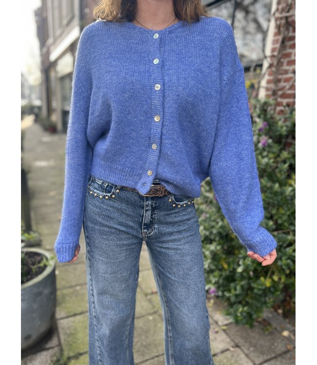 MITCH VESTEN (BLAUW)