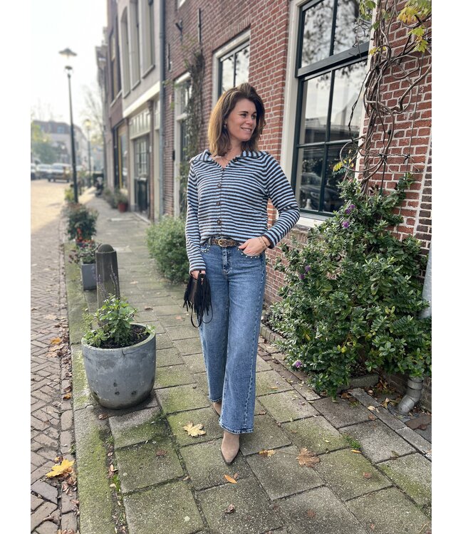 MITCH VESTEN (BLAUW COMBI)