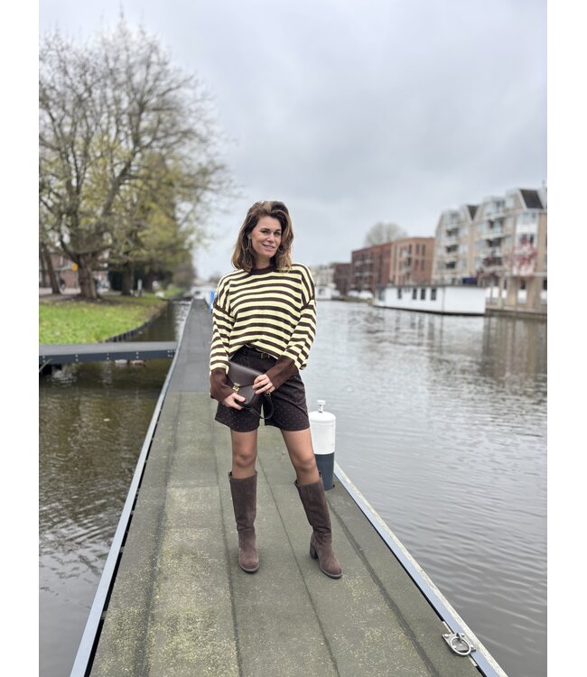 MITCH JACK (DONKERBRUIN)