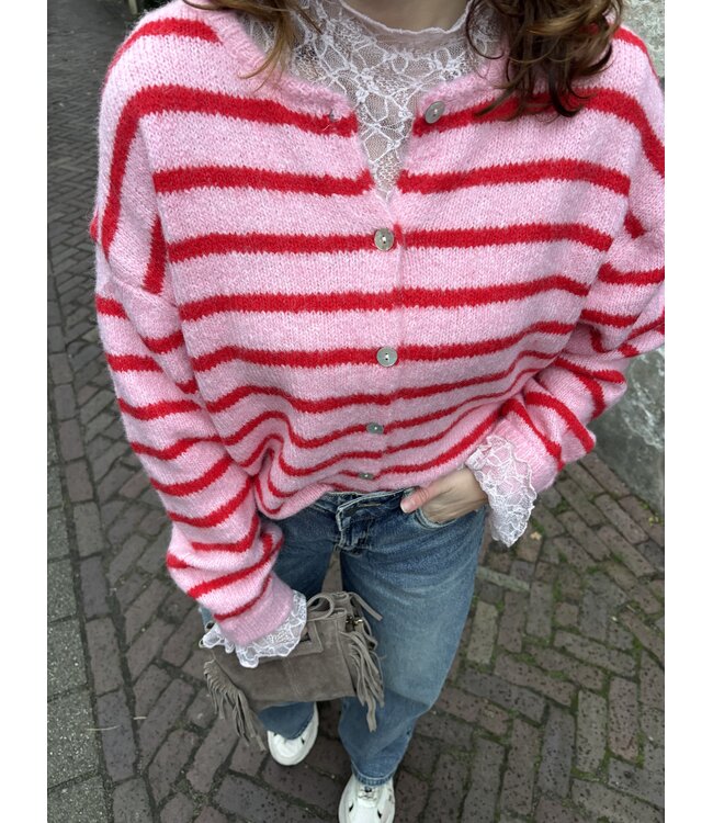 MITCH VESTEN (ROSE COMBI)