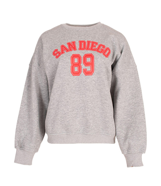 MITCH SWEATER (GRIJS)