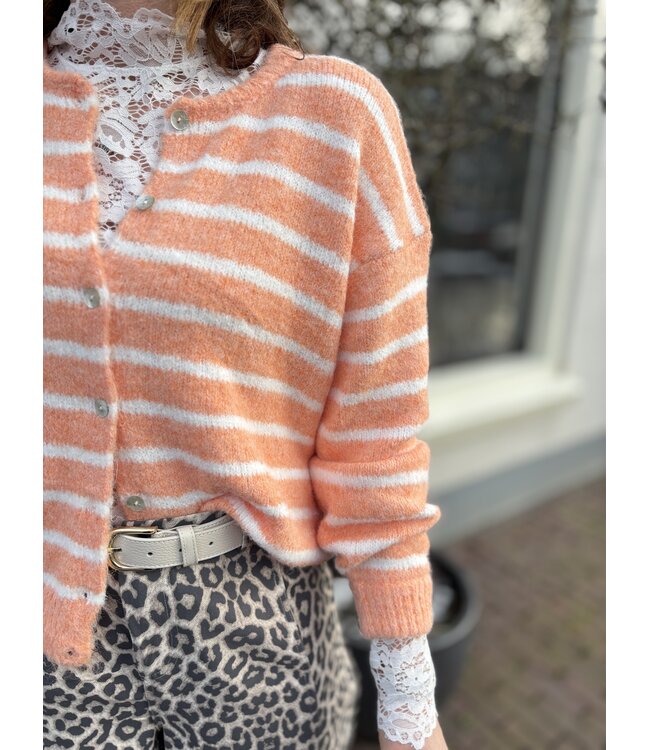 MITCH VESTEN (ORANJE)