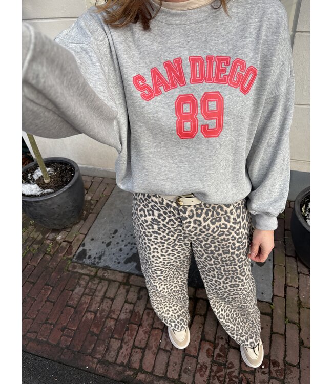 MITCH SWEATER (GRIJS)