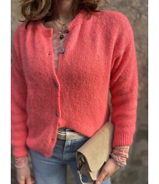 MITCH Mitch T-shirt (621.95.190)