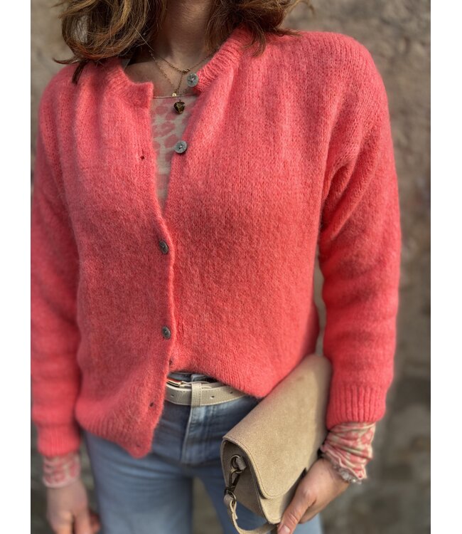 MITCH T-SHIRT (ROSE-NUDE)