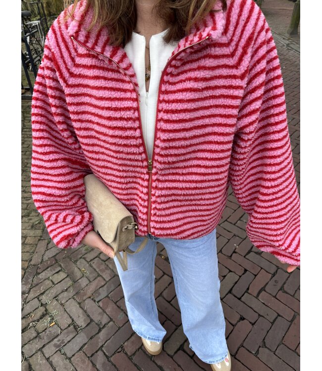 MITCH JAS KORT (ROSE COMBI)