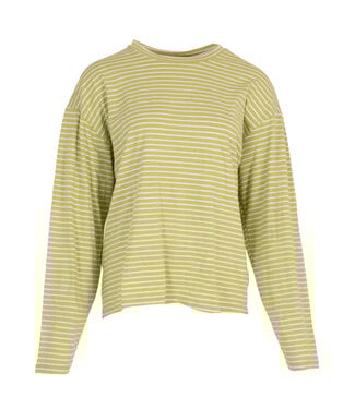 MITCH Mitch T-shirt (621.72.092)