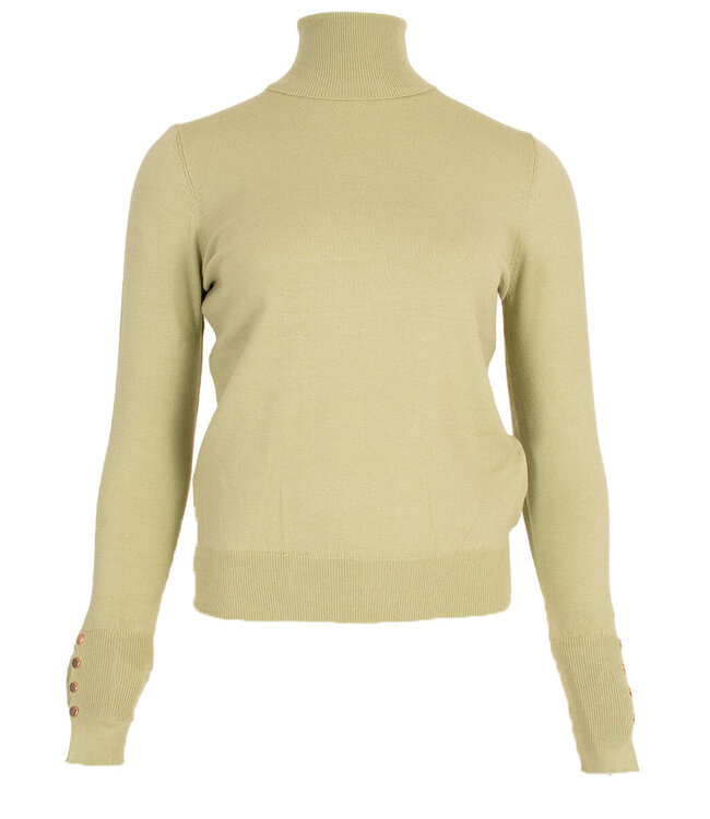 MITCH COL/TURTLENECK (LICHTGROEN MINT)