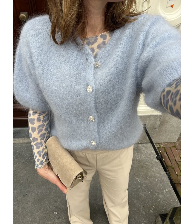 MITCH T-SHIRT (BLAUW COMBI)