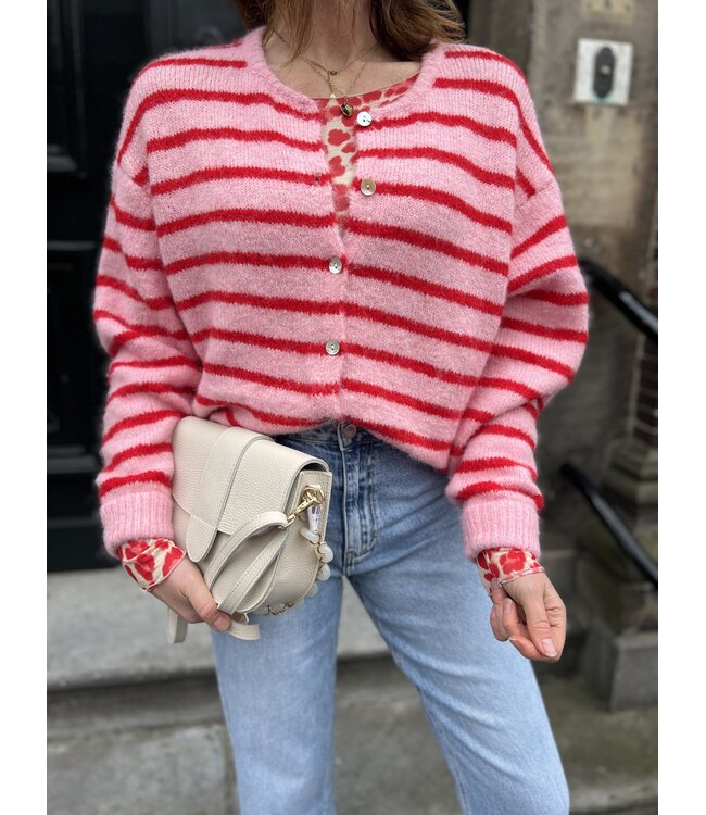 MITCH T-SHIRT (ROOD COMBI)