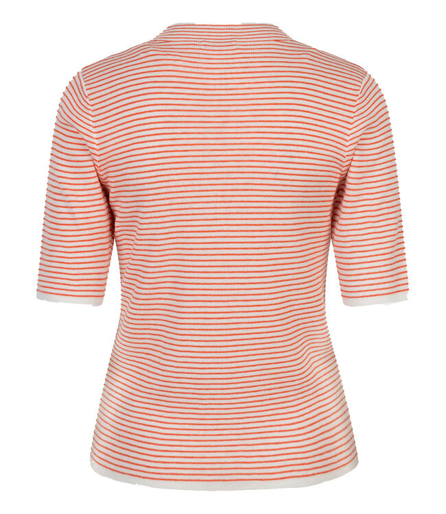 ESQUALO TRUI (ROOD COMBI)