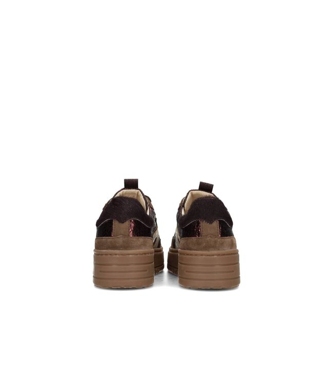 HABOOB SNEAKERS (BRUIN COMBI)