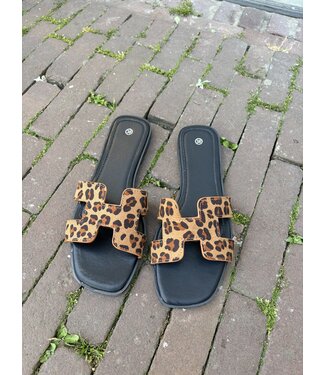 MITCH Mitch Slippers (581.41.010)