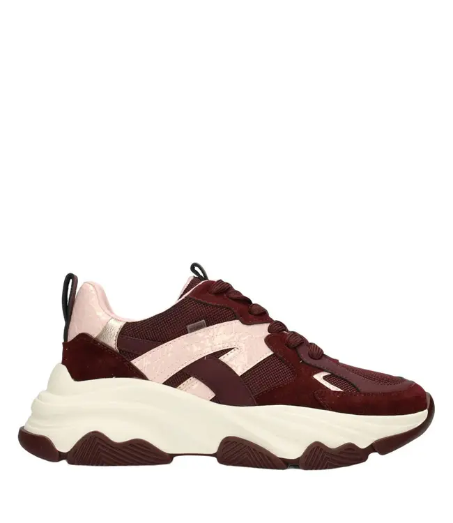 POELMAN SNEAKERS (BORDEAUX)