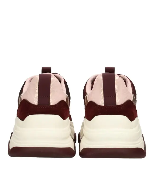 POELMAN SNEAKERS (BORDEAUX)