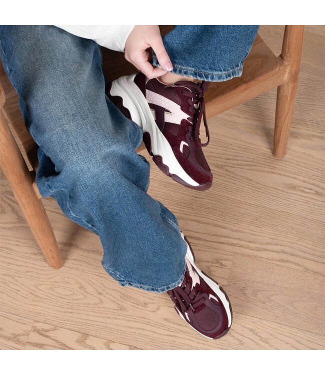 POELMAN SNEAKERS (BORDEAUX)