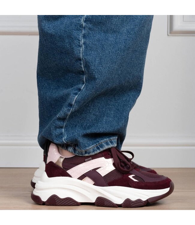 POELMAN SNEAKERS (BORDEAUX)