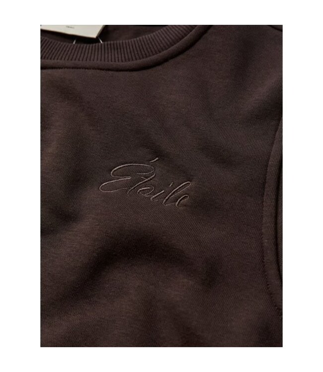 FREEQUENT SWEATER (BRUIN)