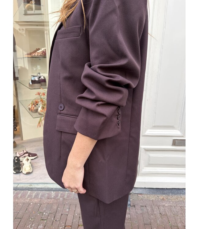AMAYA BLAZER (BRUIN)