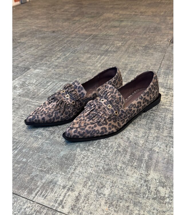 SHOECOLATE LOAFERS (BRUIN COMBI)