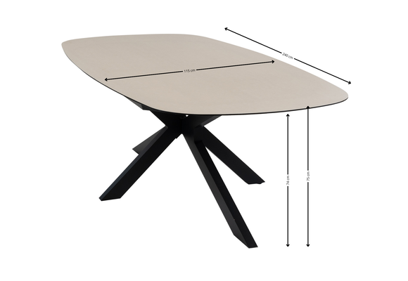 7-delige tuinset | 6 Elvira tuinstoelen (Black) | Tuintafel Malaga 240x115cm (Black)