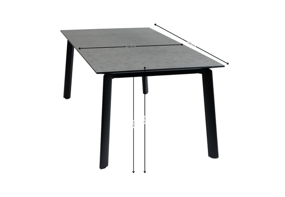 7-delige tuinset | 6 verstelbare tuinstoelen Berlijn (Black/Wood) | Tuintafel Malta 220x100cm |Black