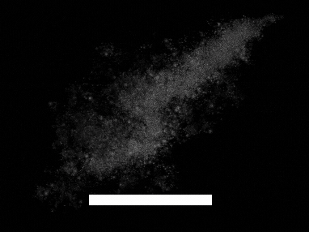 black friday tuinmeubelen