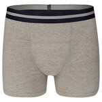 UnderWunder UnderWunder Men Boxer, gray