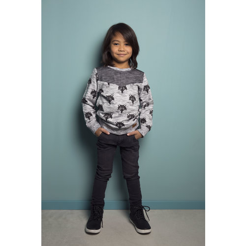 Jungen | Pullover Jungen | Pullover