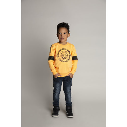 Jungs | Pullover Jungs | Pullover