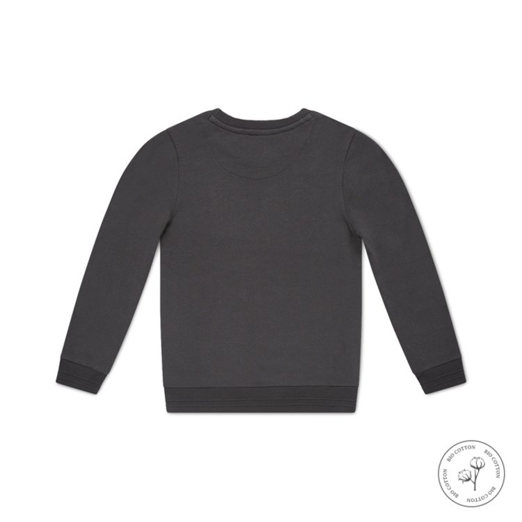 Koko Noko Sweatshirt Neill für Jungen grau | WN801