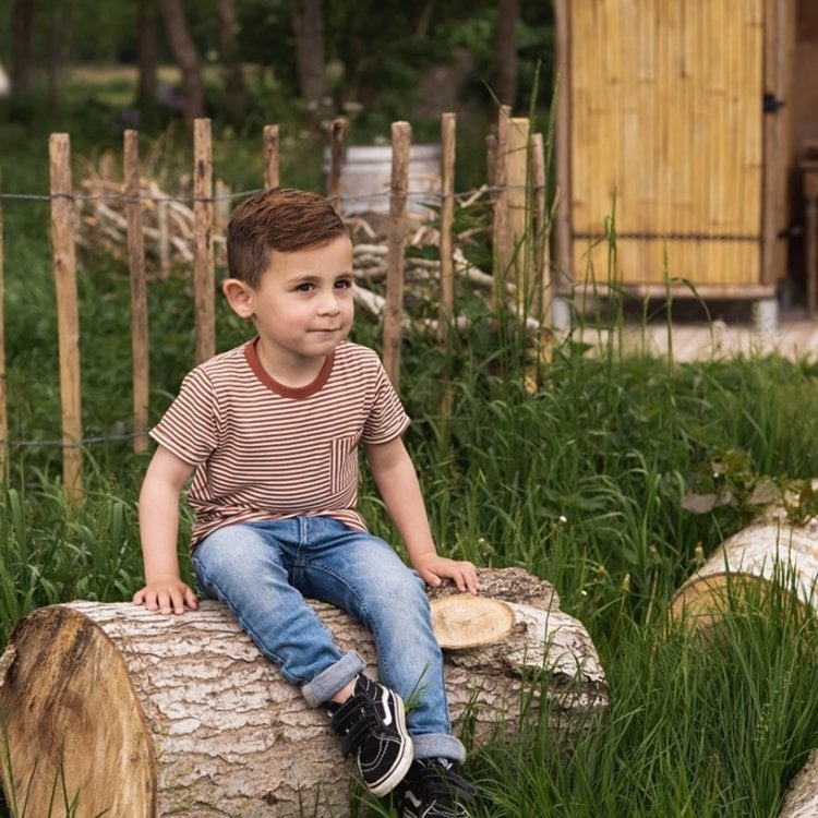 Koko Noko boys' T-shirt white rust brown stripes | T46819-37