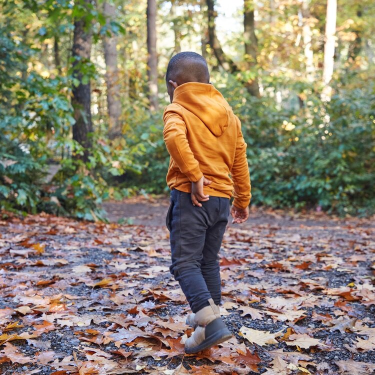 Koko Noko boys hoodie ochre yellow wolf | S48857-37