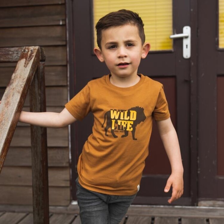 Kokooko Jungen-T-Shirt brauner Löwe | R50866-37